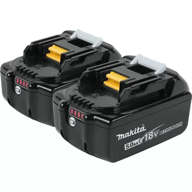 18-Volt LXT Lithium-Ion High Capacity Battery Pack 5.0 Ah with LED Charge Level Indicator (2-Pack)