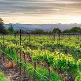 Woodinville Wine Country