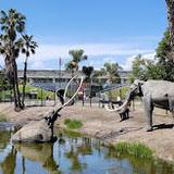 La Brea Tar Pits and Museum