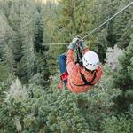 Sonoma Canopy Tours