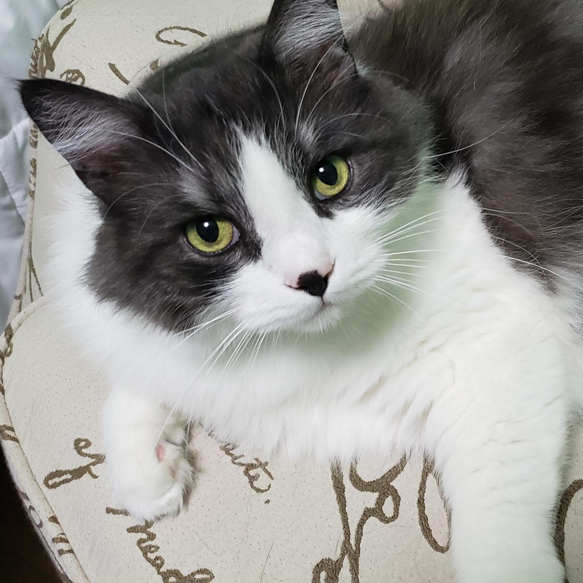 Our dearly departed Maksim