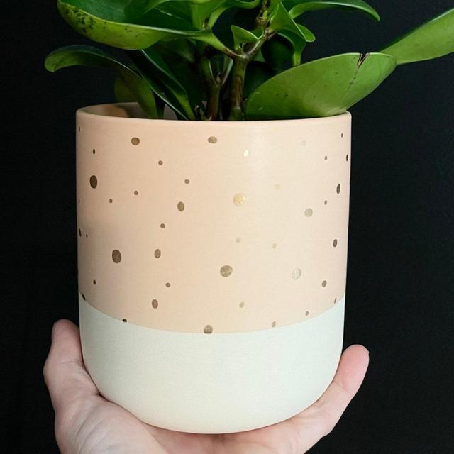 Nora Pot | Indoor Planter | Pink Planter |...