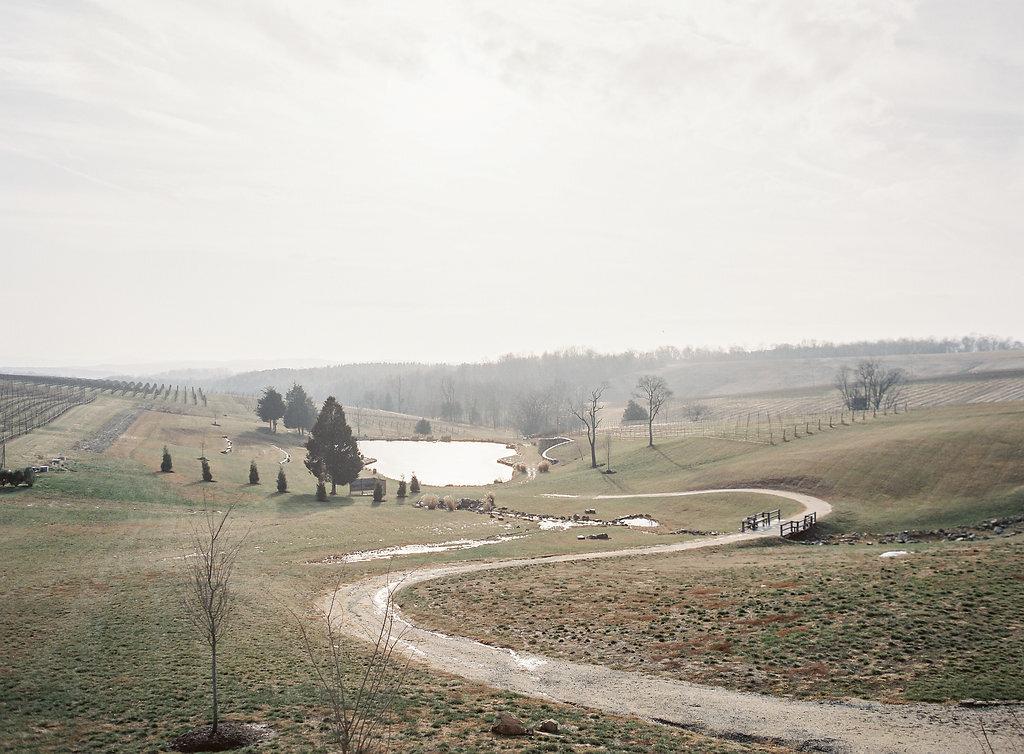 The Wedding Website of Taylor LeAnn Ammons and John Stanton Ziemski