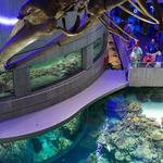 National Aquarium