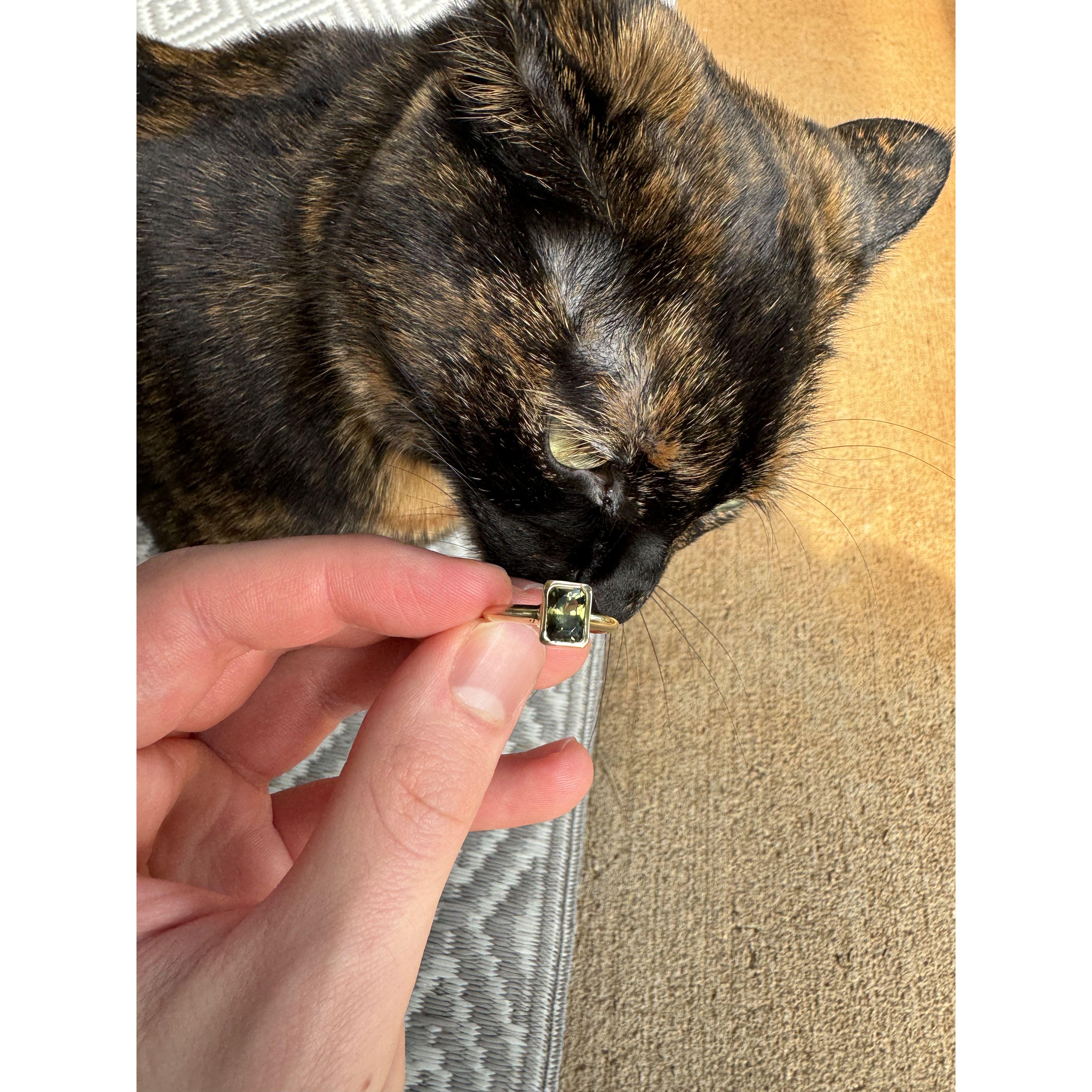 Sage inspecting the ring before Gavin proposed (she approved)