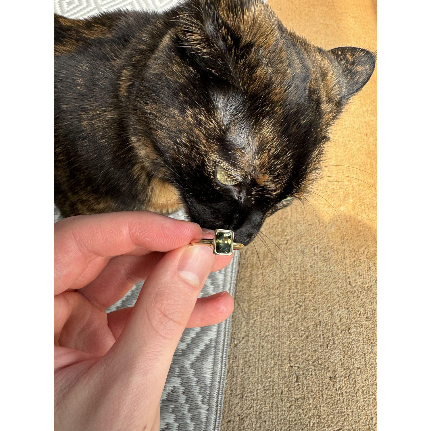 Sage inspecting the ring before Gavin proposed (she approved)