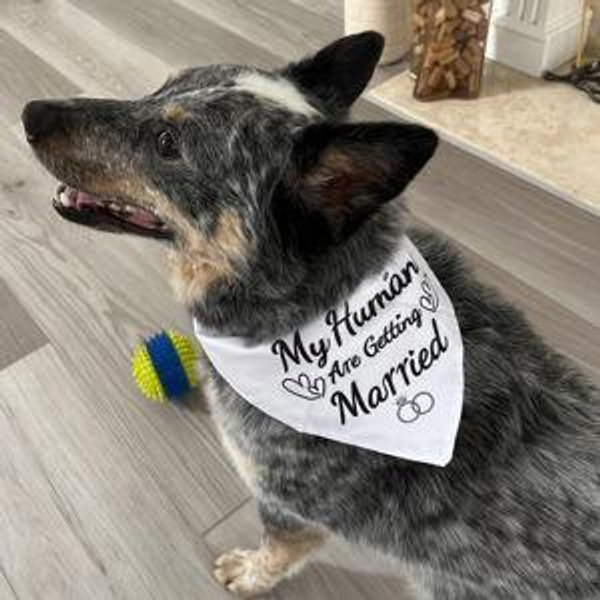 Our Newlywed Fund