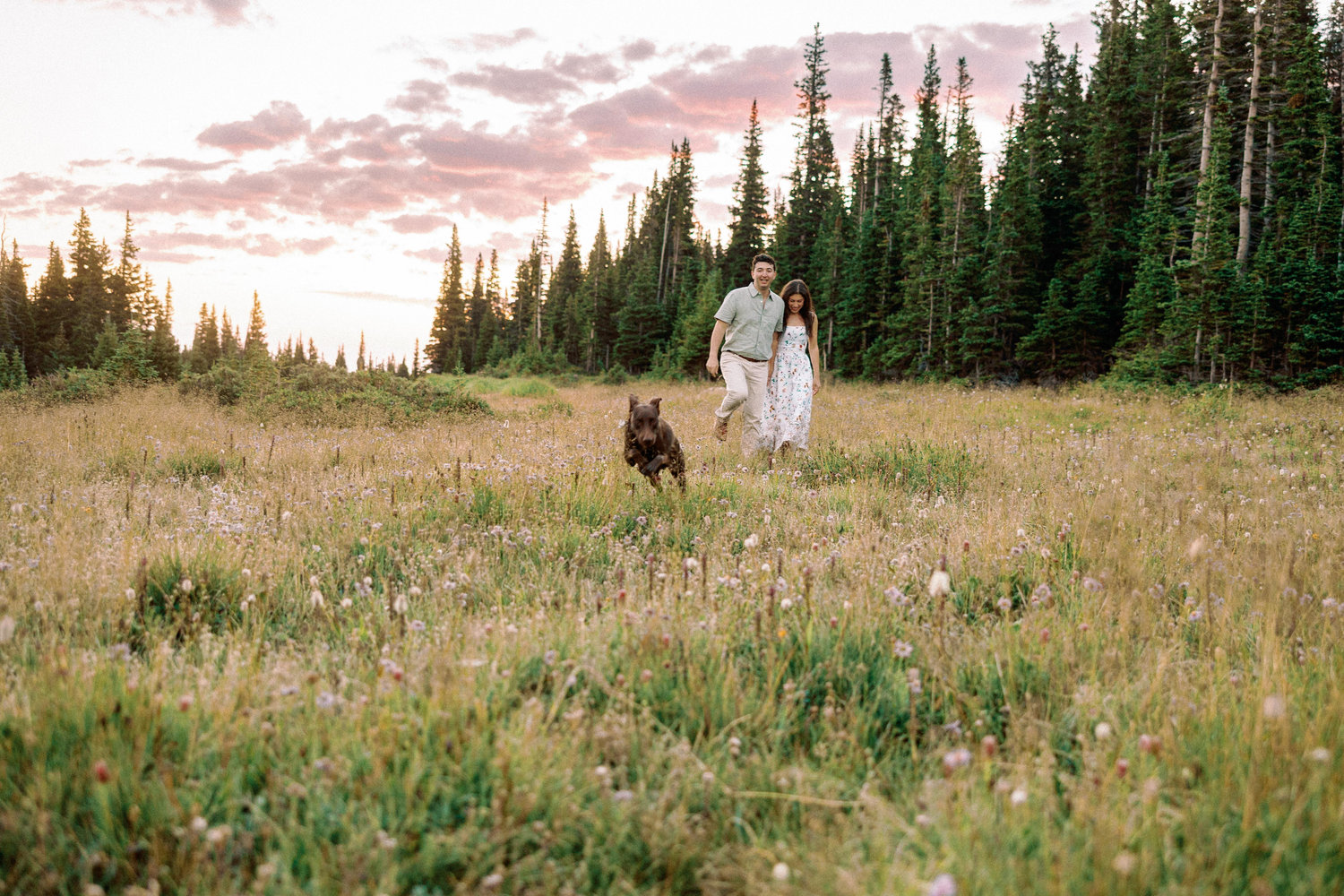 The Wedding Website of Megan Waxman and Daniel Goldstein