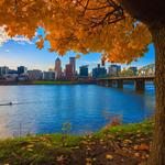 Portland