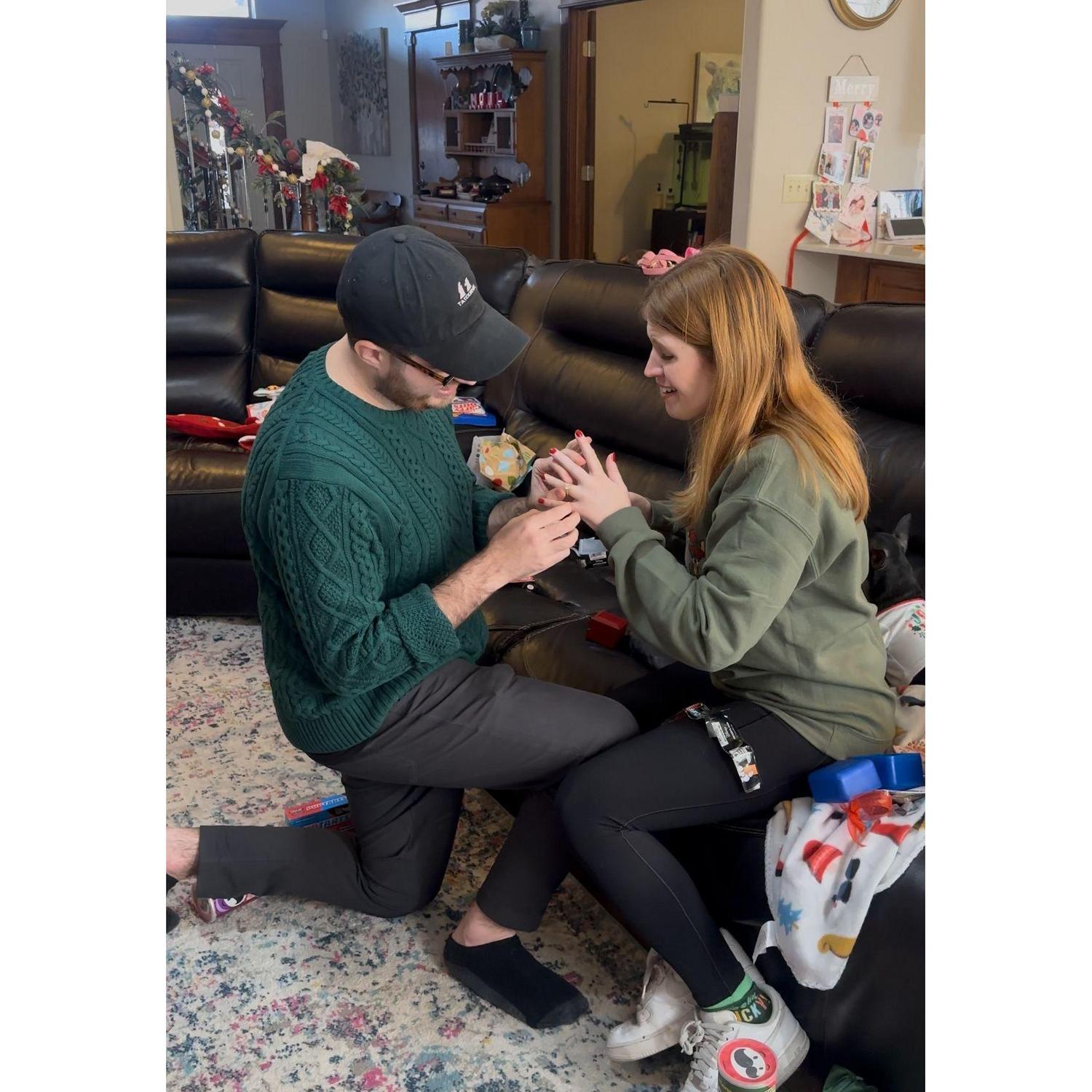 The Perfect Proposal
