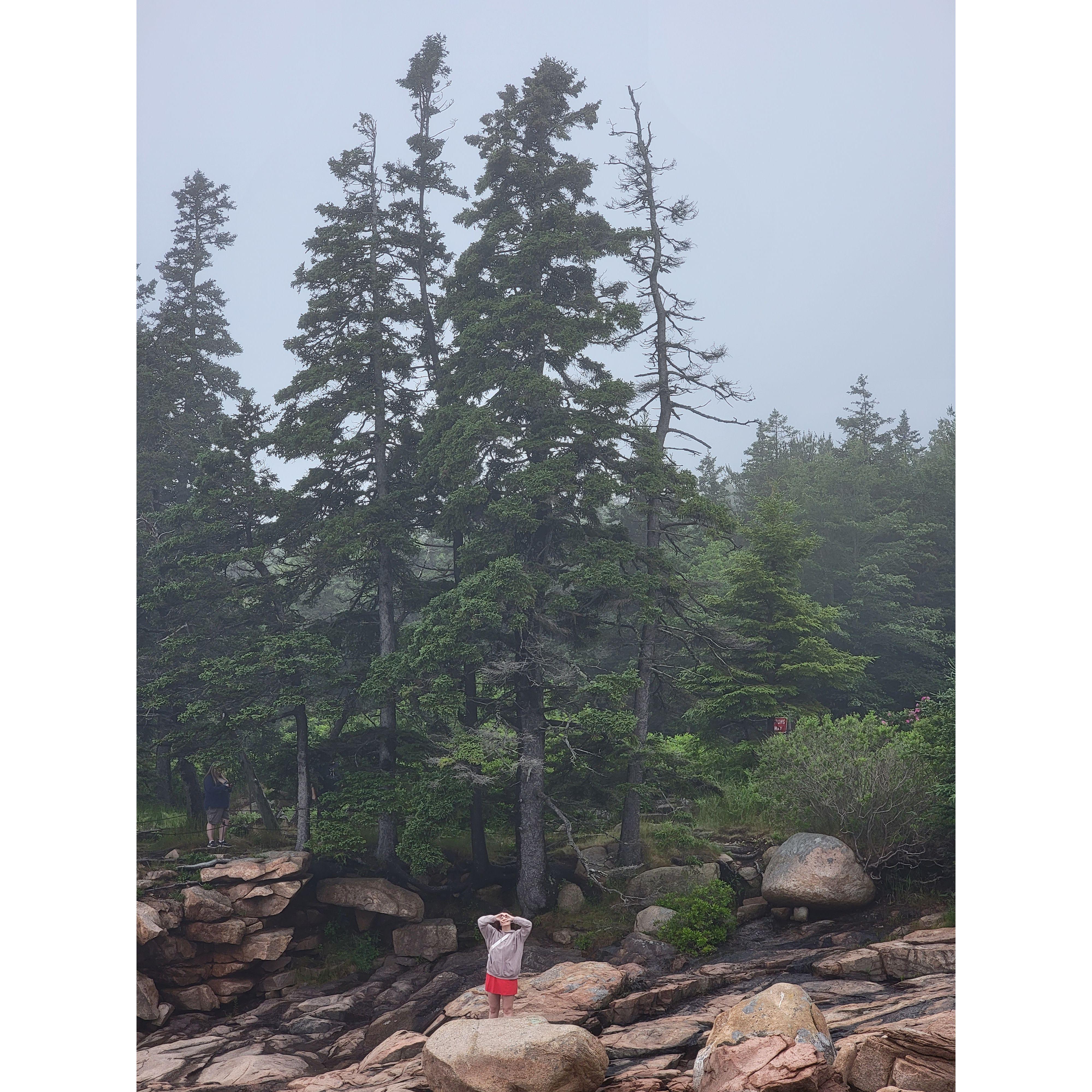 Iconic heart photo taken from Daniel's "on the rocks" POV at Thunder Hole. 2023.