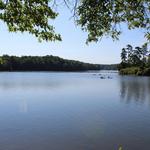 Latta Nature Preserve Waterfront