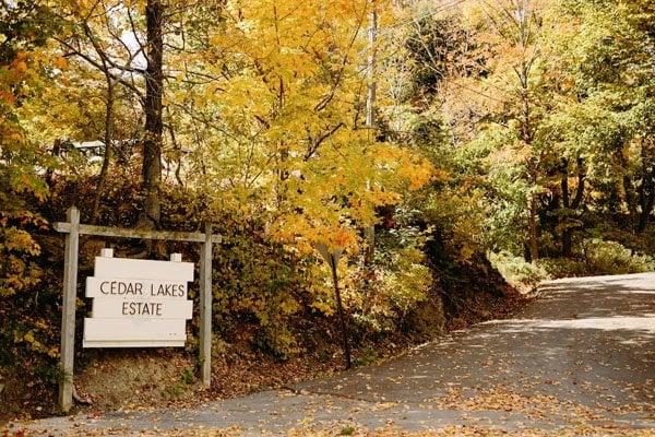 The Wedding Website of Madison Pollack and Philip Chinitz