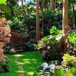 Hunte's Gardens