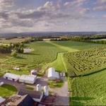 The Farm In Harmony