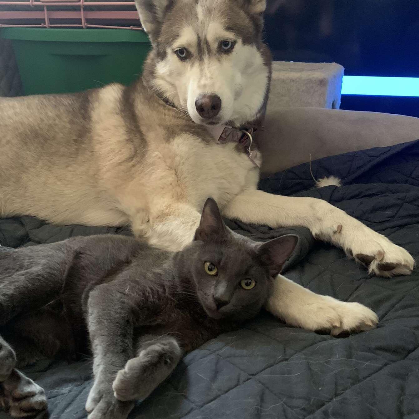 Valerie and Napoleon when Napoleon used to come over for day trips. They became fast friends