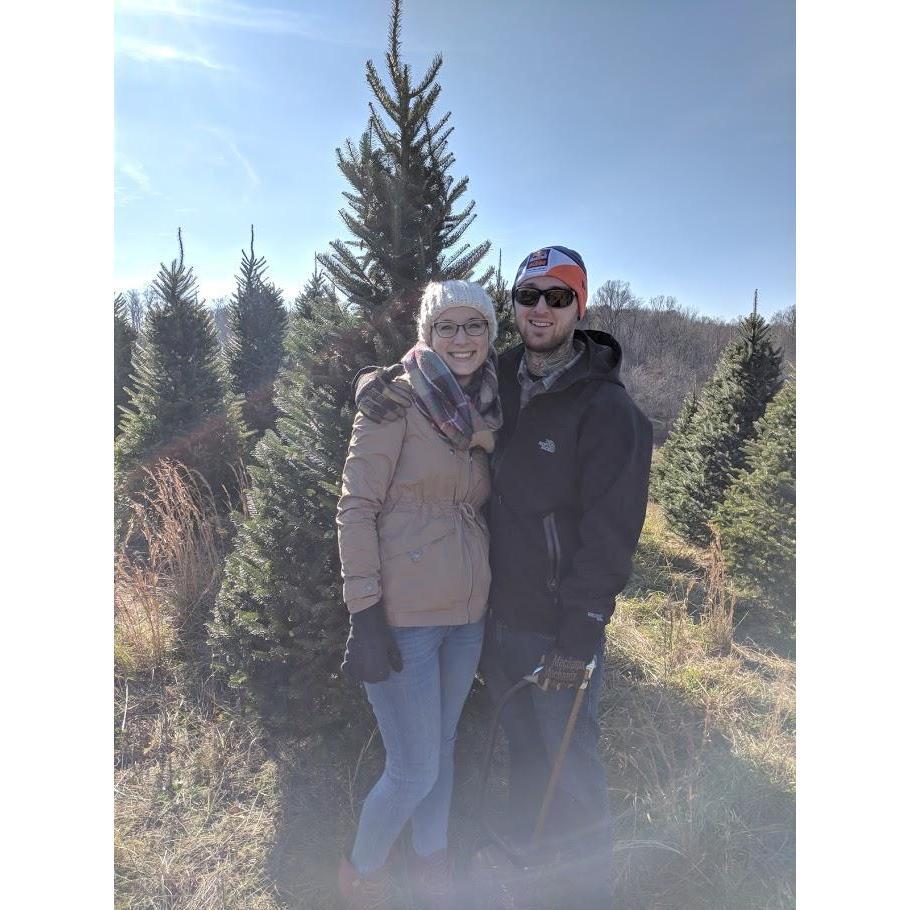 Christmas Tree