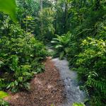 Soberania National Park