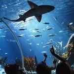 SEA LIFE Michigan Aquarium
