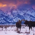 Yellowstone National Park West Entrance