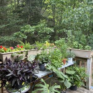 Kennedi’s 2026 Garden Fund