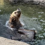 Cleveland Metroparks Zoo