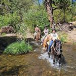 Saluti Horse Adventures