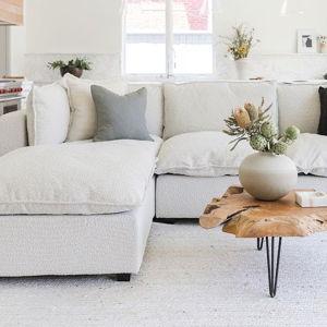 Replace the White Couch Fund