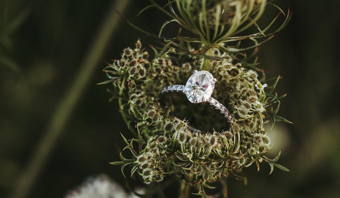 The Wedding Website of Stacey Hudak and Joseph Becht