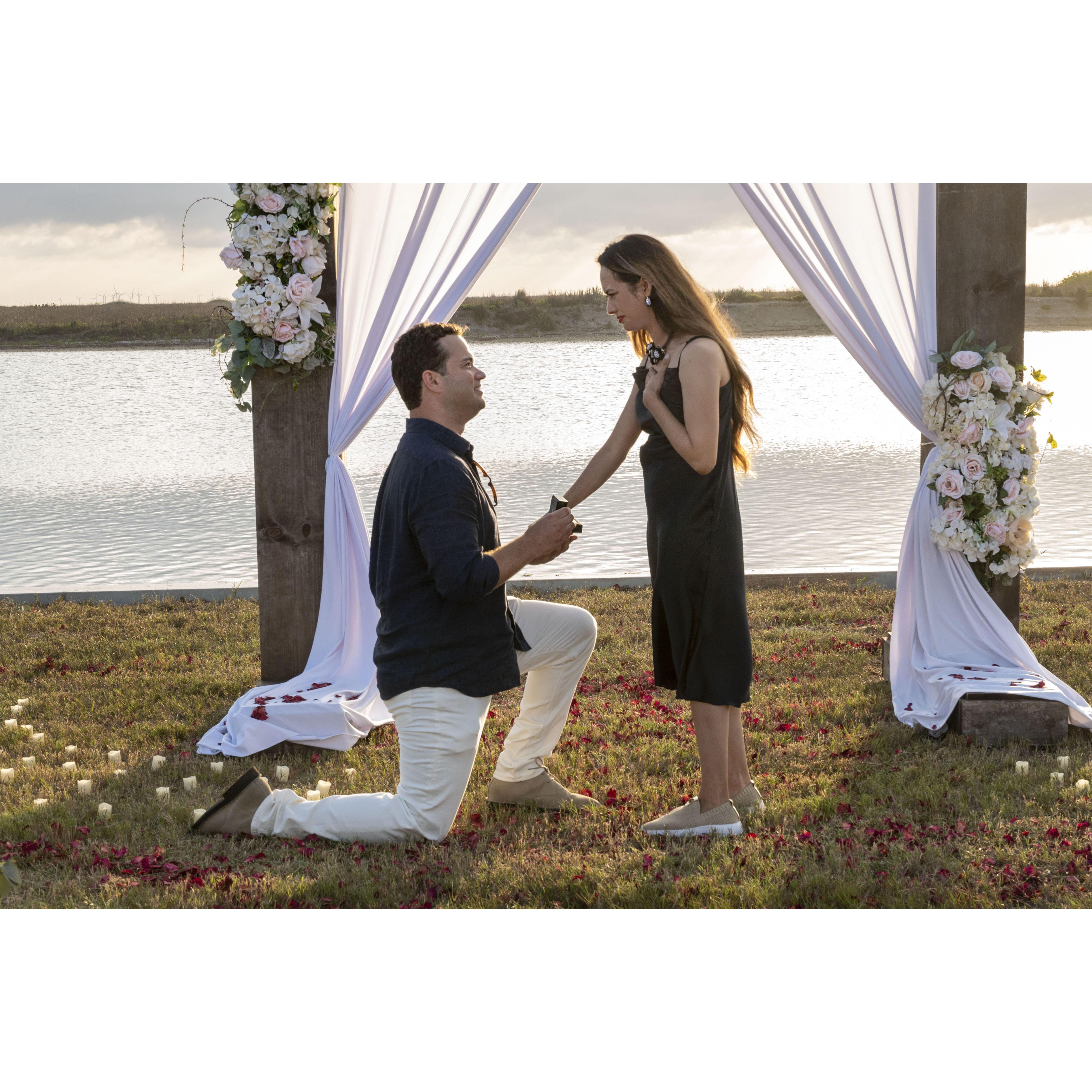 The Proposal