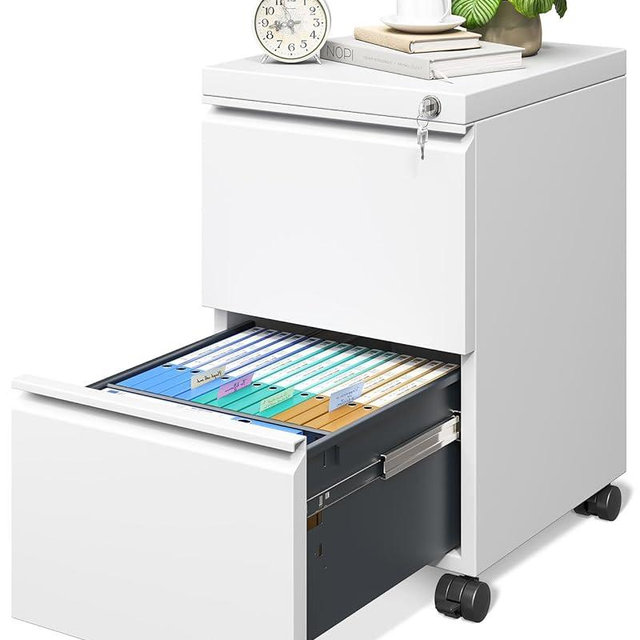 AODK File Cabinet for Home Office, Fully Assembled Filing Cabinet 2 Drawer Rolling File Cabinets with Lock, Small Mobile File Storage Cabinets for A4/Legal/Letter File, White