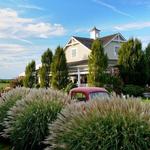 Bedell Cellars