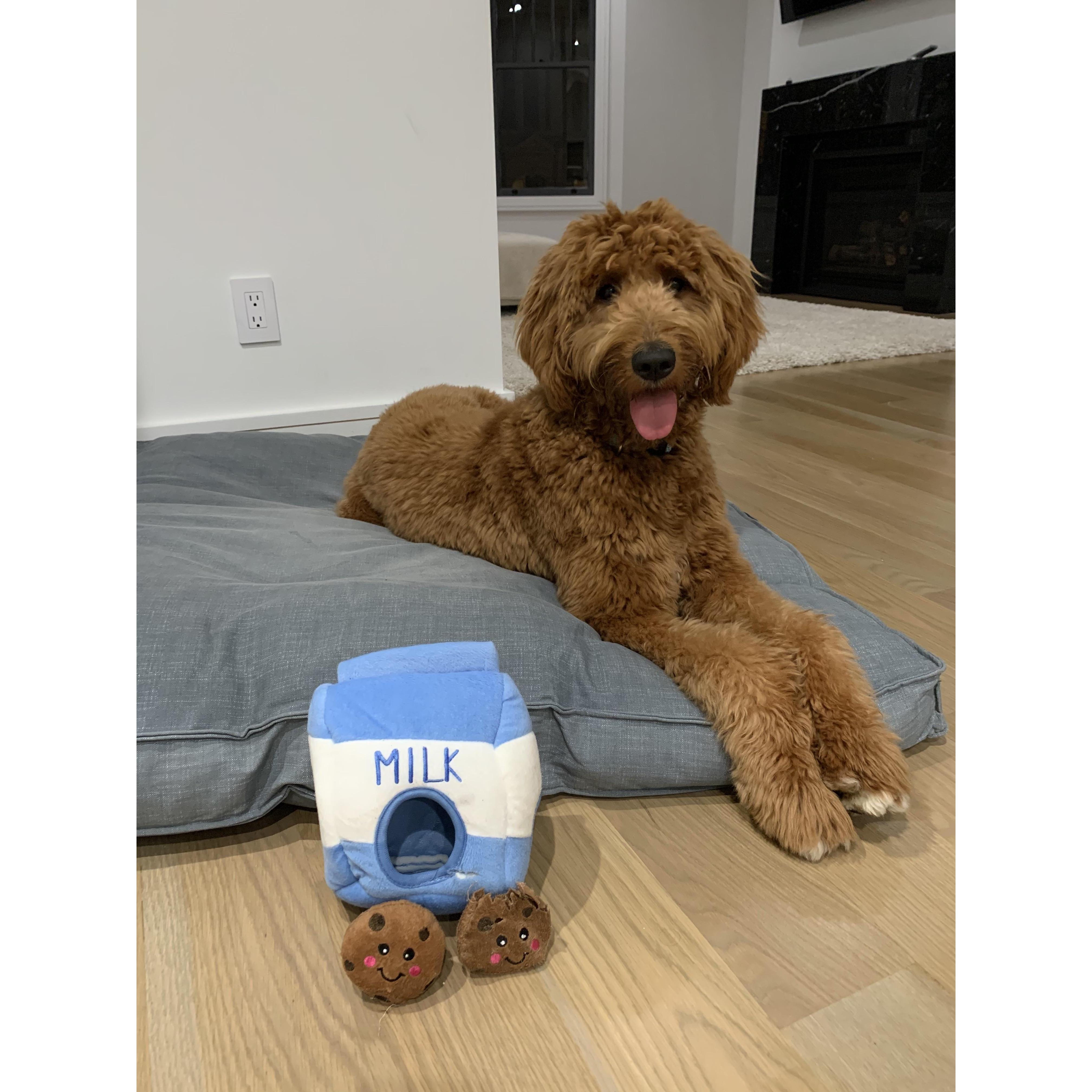 Cookie Monster!
