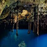 XENOTES