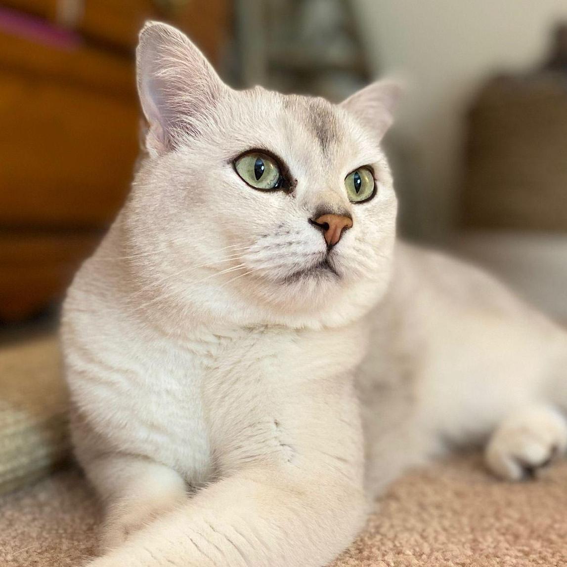 Ragnar