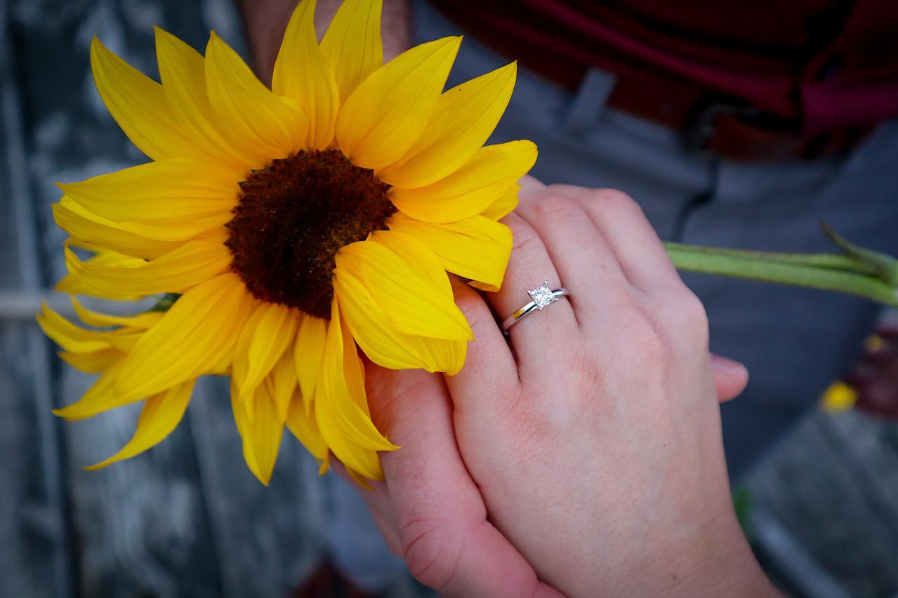 The Wedding Website of Nicole Carl and Antonio Panebianco