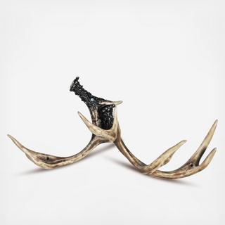 Antler Wall Rack