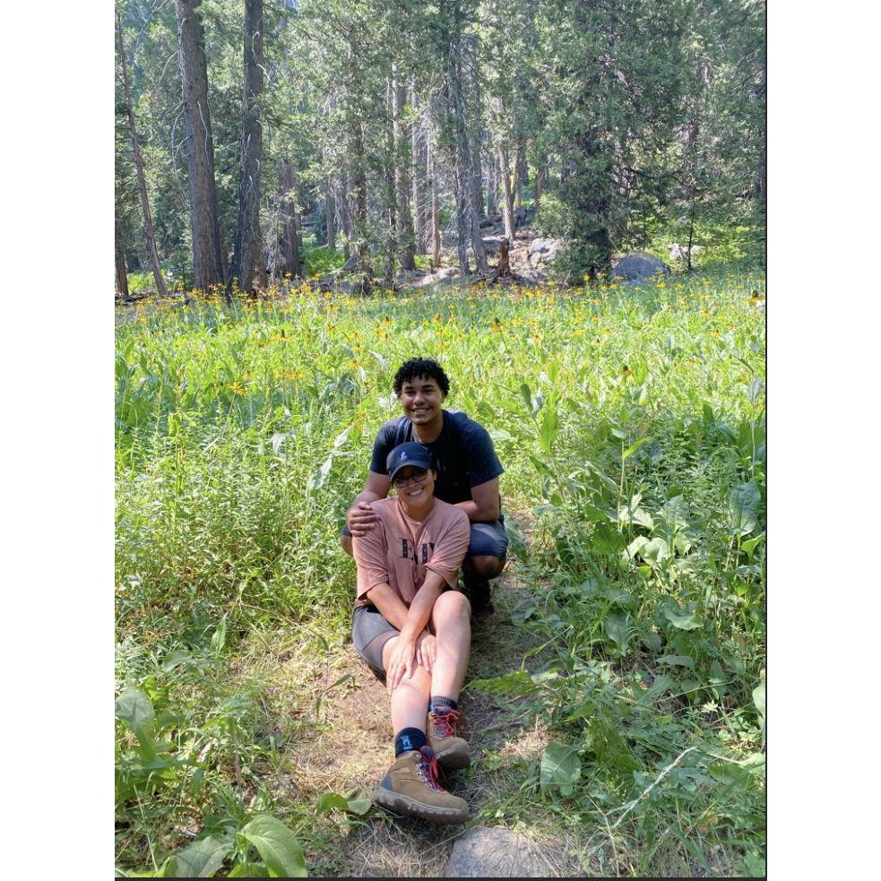 In the sequoia meadows.