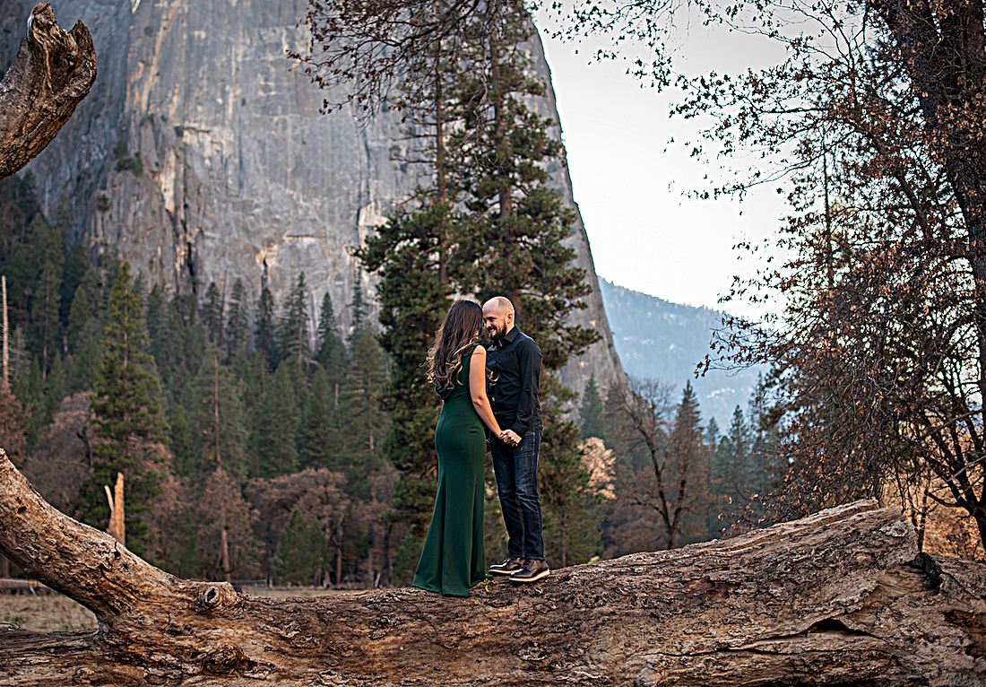 The Wedding Website of David Dobrin and Ramona Ilciuc