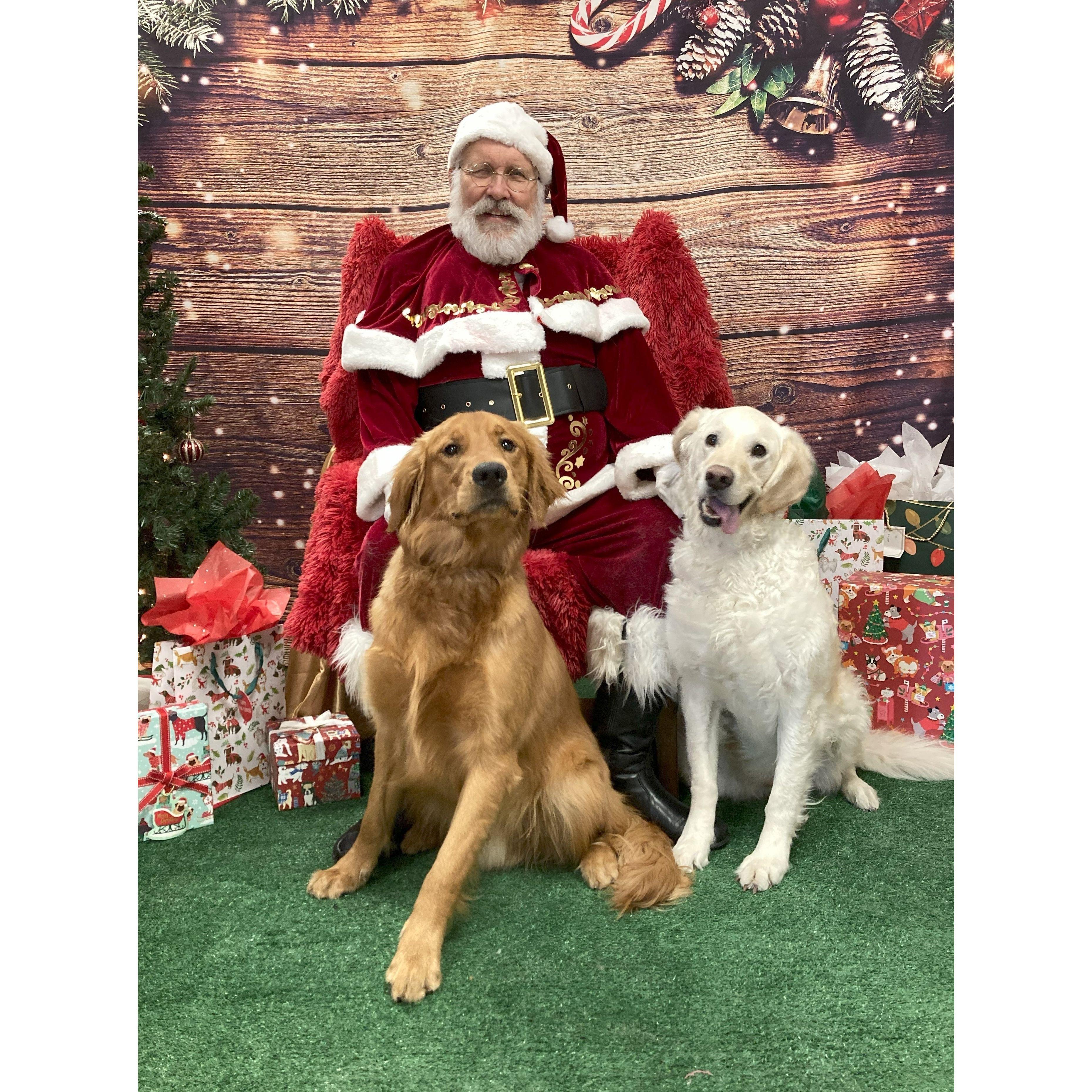Santa visited Maci and Watson at Camp Bow Wow!