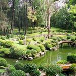 El Bosque los Colomos