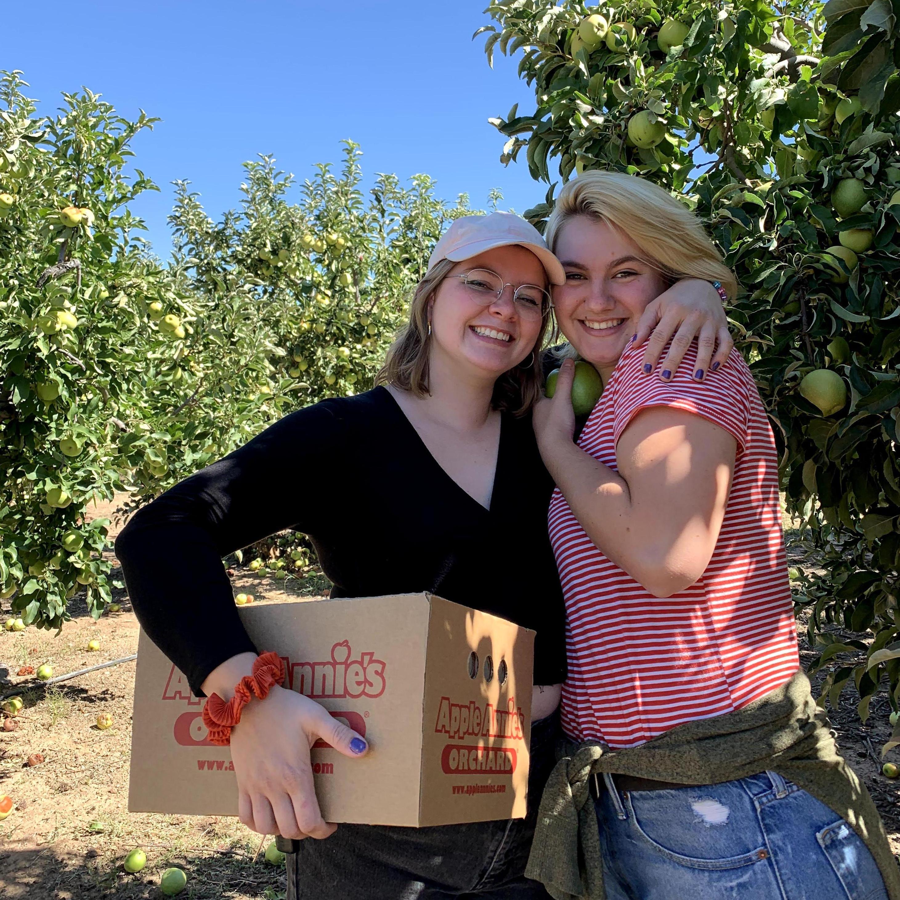 2019 - Arizona
