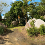 Cueva del Indio Tour (Las Piedras)
