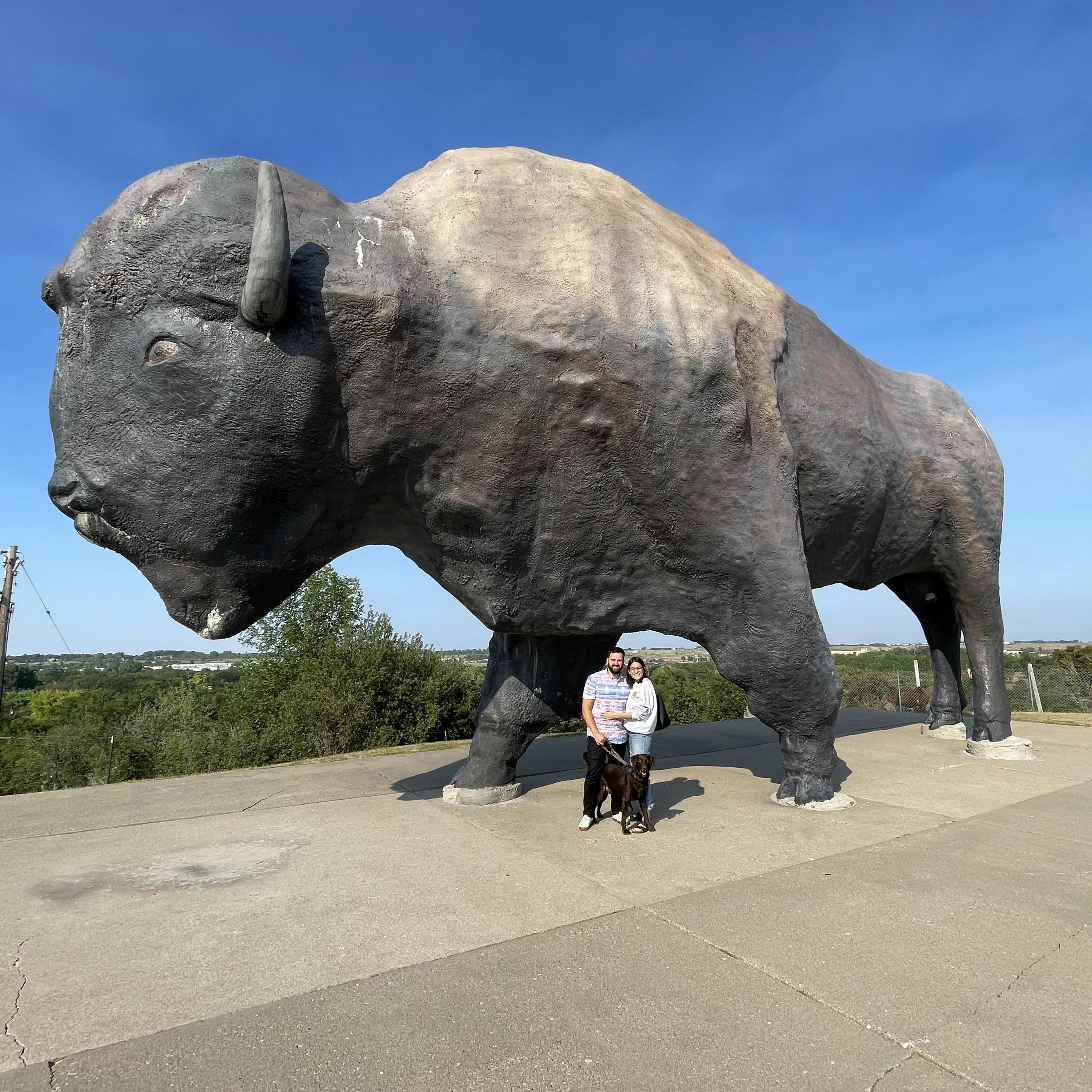 World's largest buffalo! Jamestown, ND.