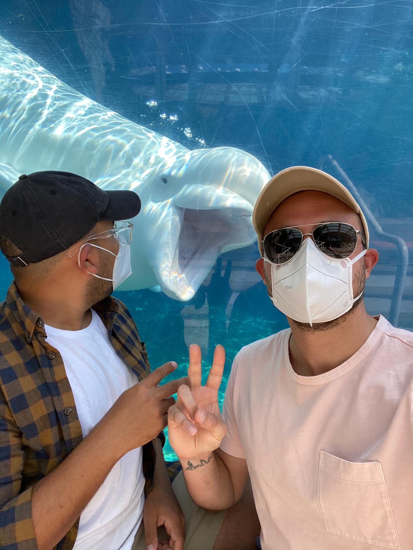 Mystic Aquarium, CT 2020