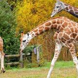 Cape May County Park & Zoo