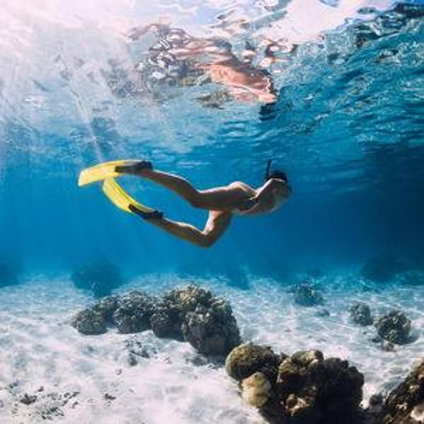 Honeymoon Catamaran Excursion