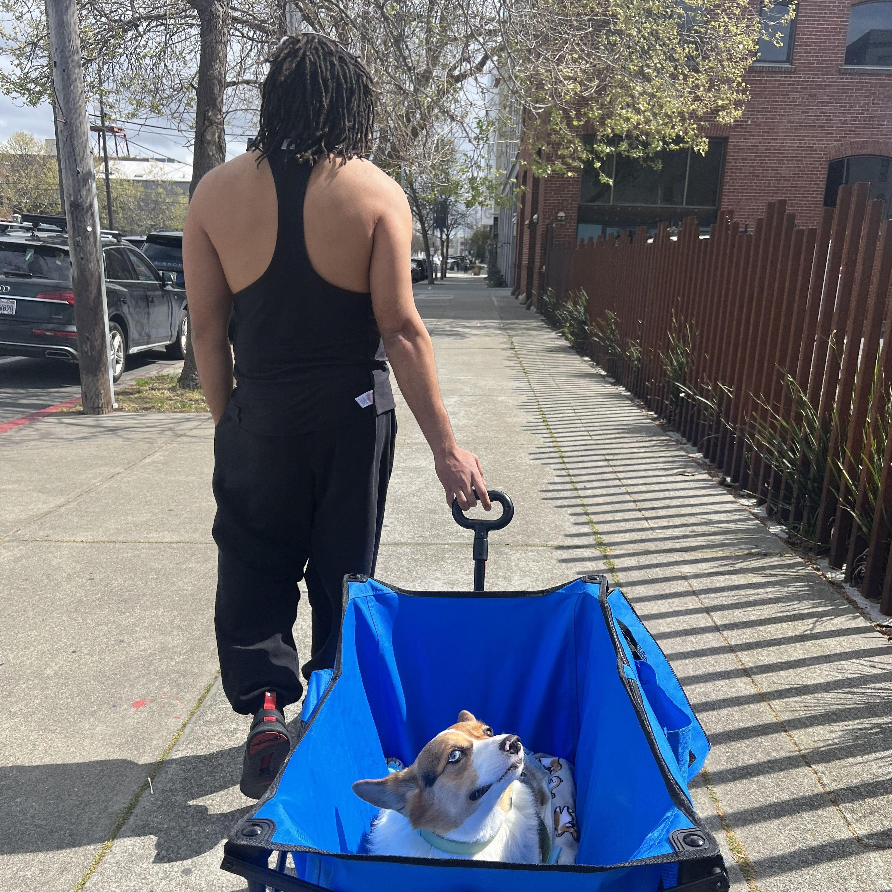 2025: Nandy gets a private chauffeur as he recovers from his back surgery