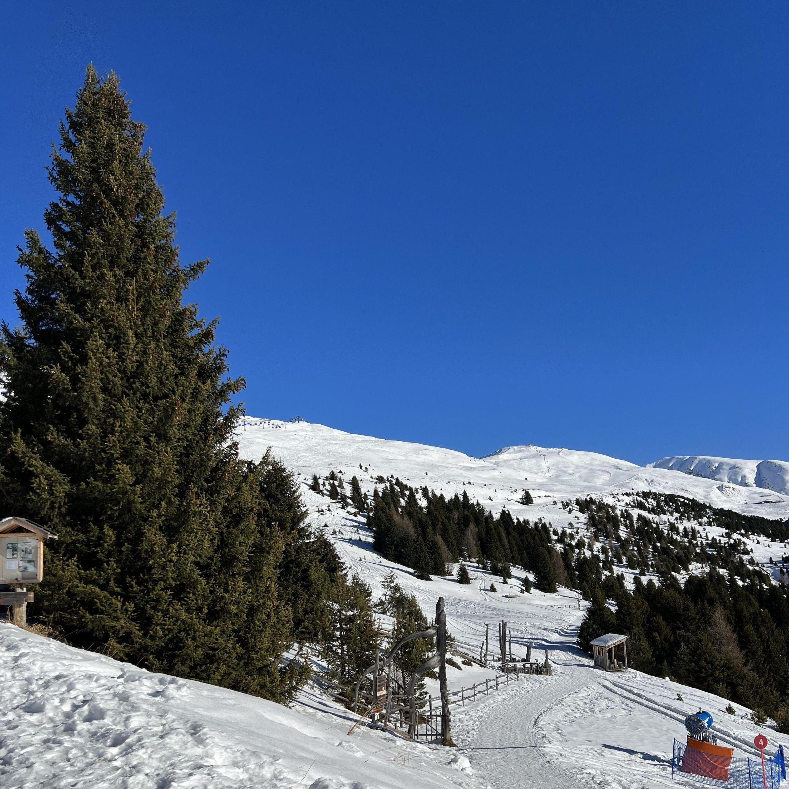 Finally got to the top and the hike began!