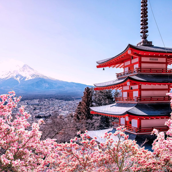 Help Us Honeymoon in Japan!